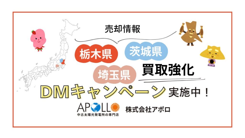 栃木茨城埼玉買取強化！DMキャンペーン実施中！